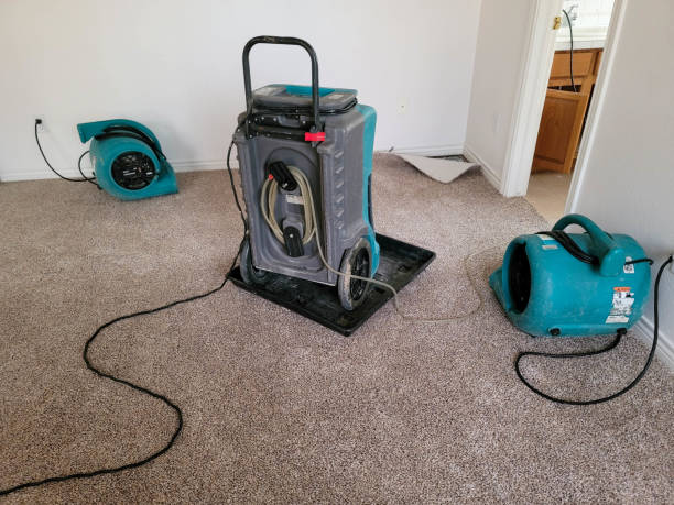 Water damage restoration process in Whitehouse, TX