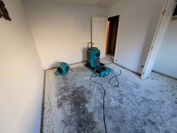 Best Water damage mitigation services  in Whitehouse, TX