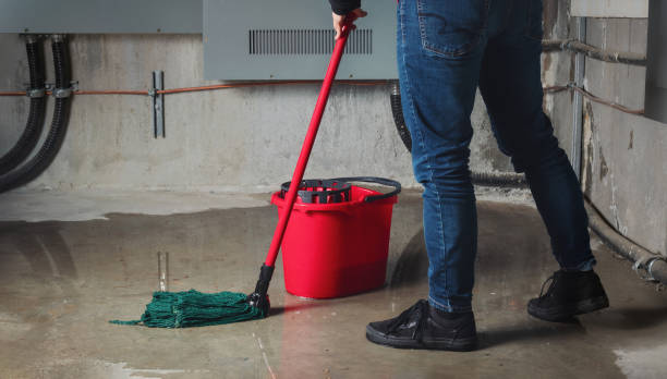 Best Ceiling water damage repair  in Whitehouse, TX