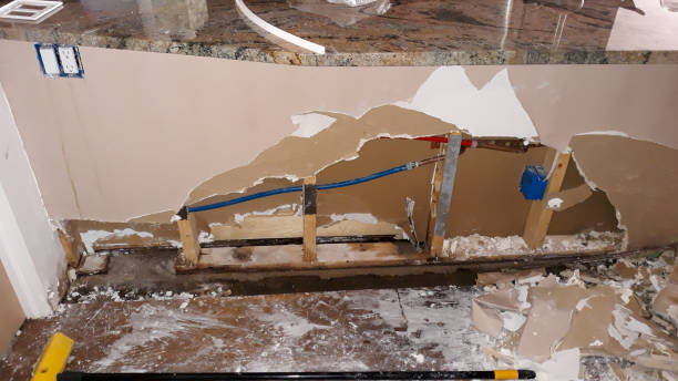 Trusted Whitehouse, TX Water damage restoration Experts