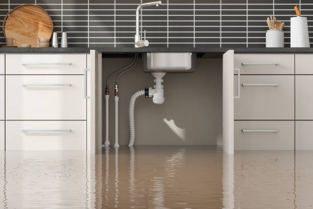  Whitehouse, TX Water damage restoration Pros