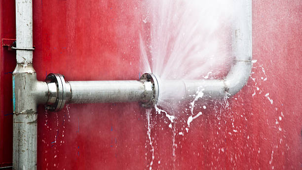 Best Water damage cleanup near me  in Whitehouse, TX